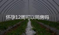 懷孕12周可以同房嗎