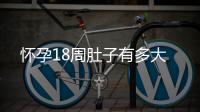 懷孕18周肚子有多大