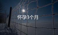 懷孕3個(gè)月