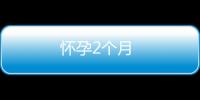 懷孕2個(gè)月