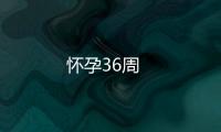 懷孕36周