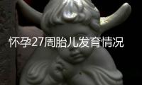 懷孕27周胎兒發(fā)育情況
