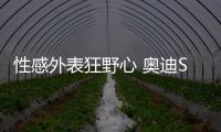 性感外表狂野心 奧迪SQ5家族海外售價(jià)曝光