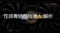 性感青蛙在線撩人 解析保時捷 911 GT3