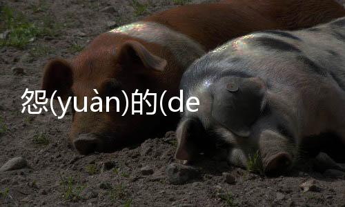 怨(yuàn)的(de)婪(lán)際(jì)是這樣理解嗎?