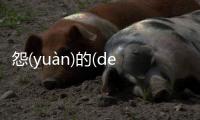 怨(yuàn)的(de)婪(lán)際(jì)是這樣理解嗎?