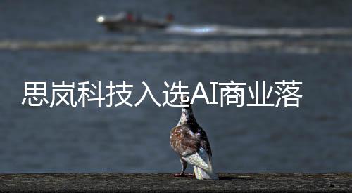 思嵐科技入選AI商業(yè)落地TOP100榜單