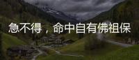 急不得，命中自有佛祖保佑！2020年這三生肖財氣一鳴驚人！發發發