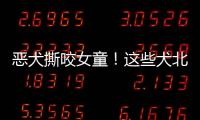 惡犬撕咬女童！這些犬北京禁養(yǎng)