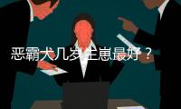 惡霸犬幾歲生崽最好？ 惡霸犬幼犬