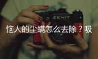 惱人的塵螨怎么去除？吸就對了！