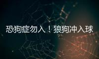 恐狗癥勿入！狼狗沖入球場玩球 還“奔襲半場”