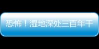 恐怖！濕地深處三百年干尸復(fù)活