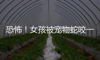 恐怖！女孩被寵物蛇咬一口  結果成植物人