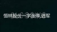恒林股份一字漲停,進軍智能算力領域,與智能家居協同發展