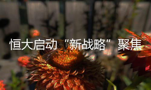恒大啟動“新戰略”聚焦降負債