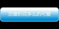 戀愛(ài)的花多么的可愛(ài)