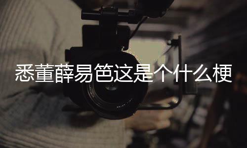 悉董薛易笆這是個什么梗?