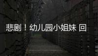 悲劇！幼兒園小姐妹 回家路上雙雙殞命
