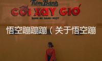 悟空蹦蹦蹦（關(guān)于悟空蹦蹦蹦的基本情況說明介紹）