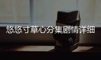悠悠寸草心分集劇情詳細介紹(1