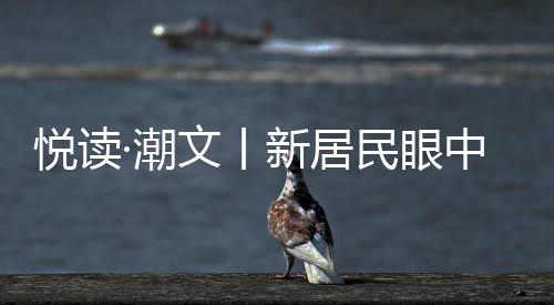 悅讀·潮文丨新居民眼中的潮城:有一種幸福叫生活在海寧