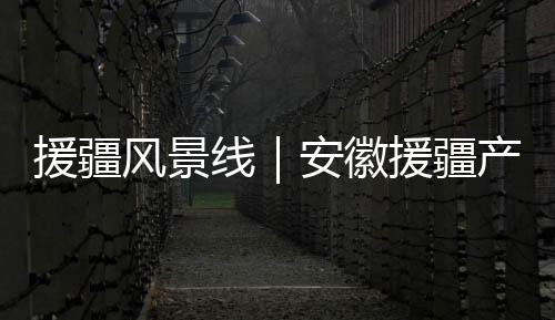 援疆風景線｜安徽援疆產業“落地生金”