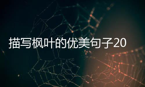 描寫楓葉的優美句子20字（描寫楓葉的優美句子）