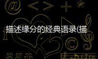 描述緣分的經(jīng)典語錄(描述回家的心情經(jīng)典語錄)