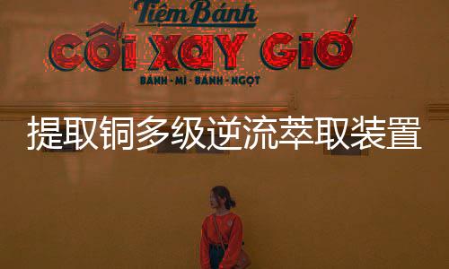 提取銅多級(jí)逆流萃取裝置生產(chǎn)廠家