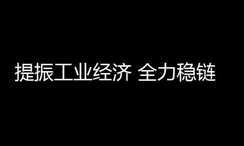 提振工業經濟 全力穩鏈保暢