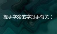 提手字旁的字跟手有關(guān)（提手字旁的字）