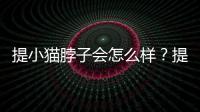 提小貓脖子會怎么樣？提貓咪的脖子后面 貓咪會痛嗎