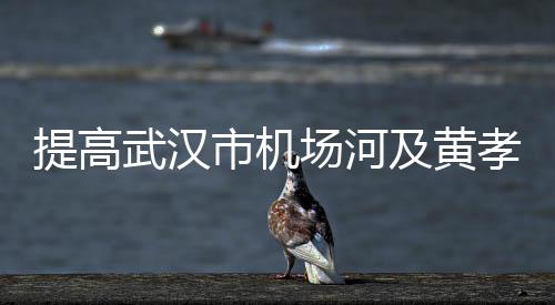 提高武漢市機(jī)場(chǎng)河及黃孝河排漬能力