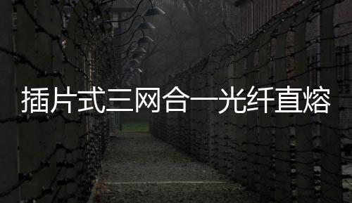 插片式三網(wǎng)合一光纖直熔箱