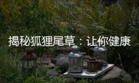 揭秘狐貍尾草：讓你健康輕盈的秘密！