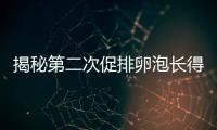 揭秘第二次促排卵泡長得慢正不正常，想要提升速度請這樣做