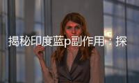 揭秘印度藍p副作用：探索健康飲食的正確道路