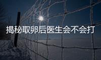 揭秘取卵后醫生會不會打電話問選幾代，這些問題會涉及