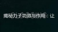 揭秘力子功效與作用：讓你煥發健康光彩！