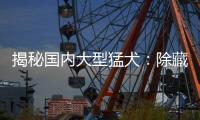 揭秘國內(nèi)大型猛犬：除藏獒外還有哪些引人注目的品種？
