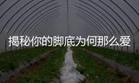 揭秘你的腳底為何那么愛長水泡
