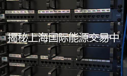 揭秘上海國際能源交易中心 工位上座率僅五成左右