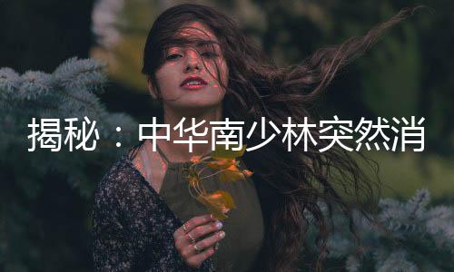 揭秘：中華南少林突然消失之謎