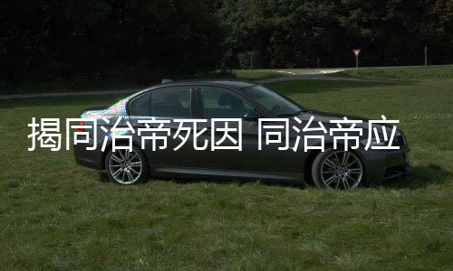 揭同治帝死因 同治帝應該怎樣會慘死在梅毒病下？