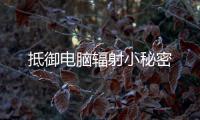 抵御電腦輻射小秘密