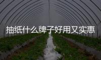 抽紙什么牌子好用又實惠，抽紙什么牌子好