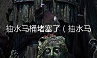 抽水馬桶堵塞了（抽水馬桶堵塞）