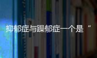 抑郁癥與躁郁癥一個是“天才病”，一個是“魔鬼病”