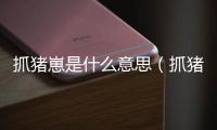 抓豬崽是什么意思（抓豬仔是什么意思）